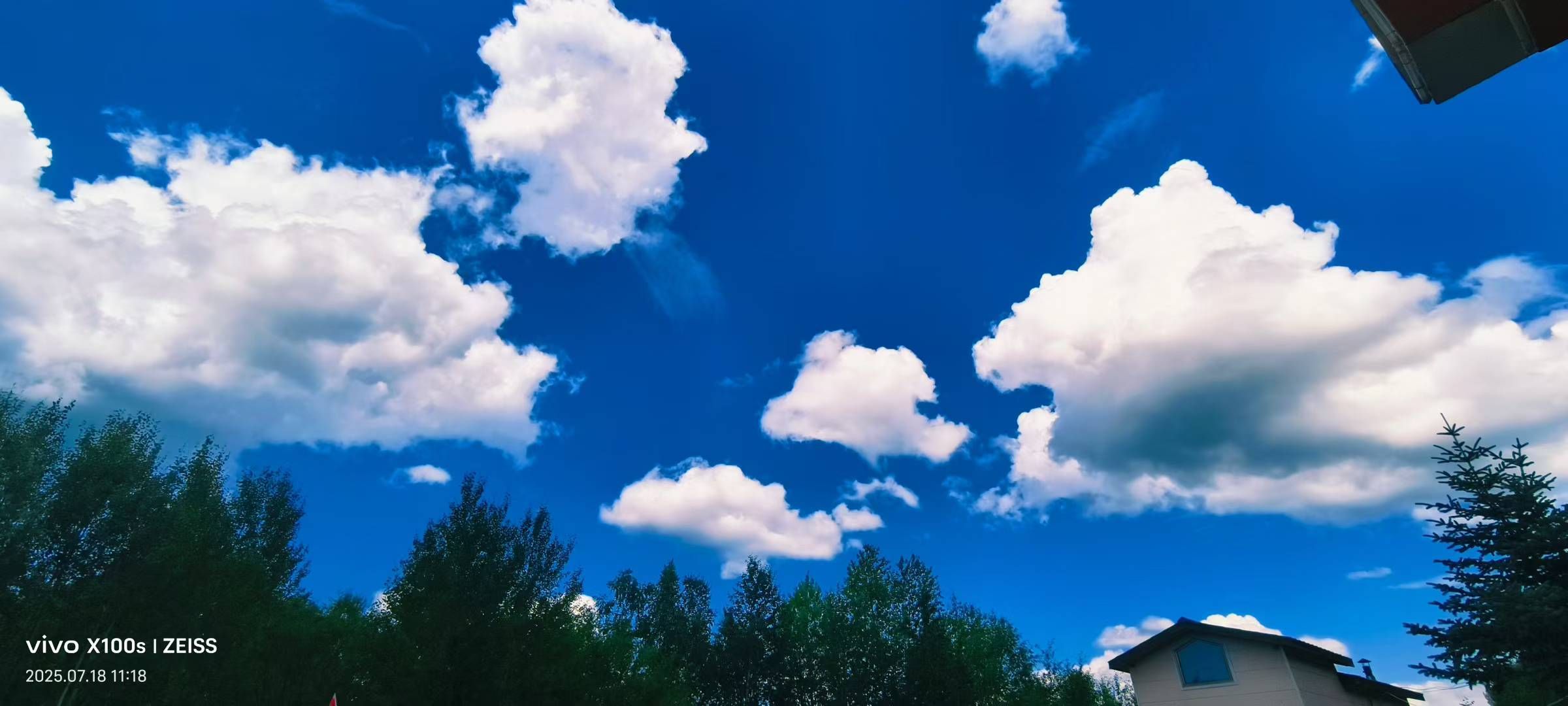妞妞骑行宁夏银川的图片