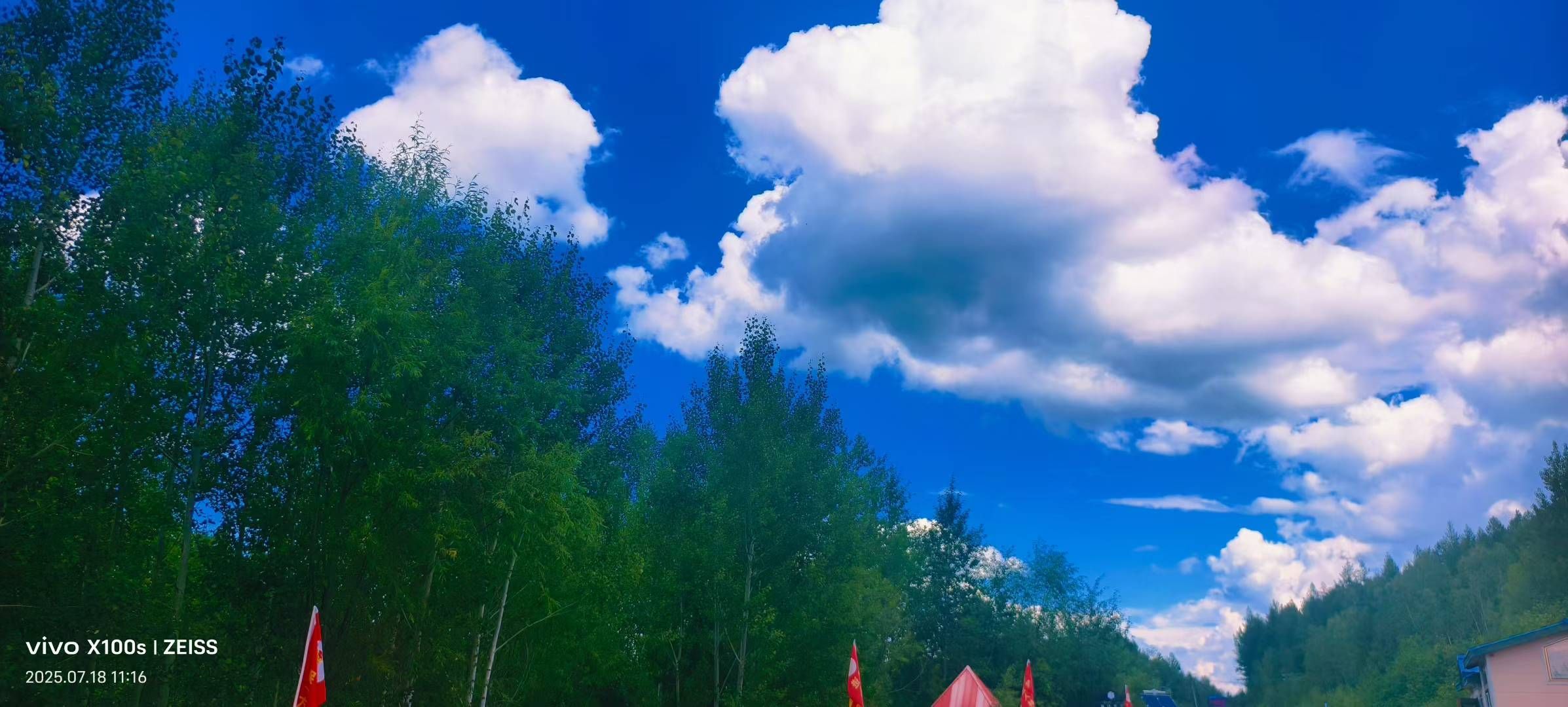 妞妞骑行宁夏银川的图片