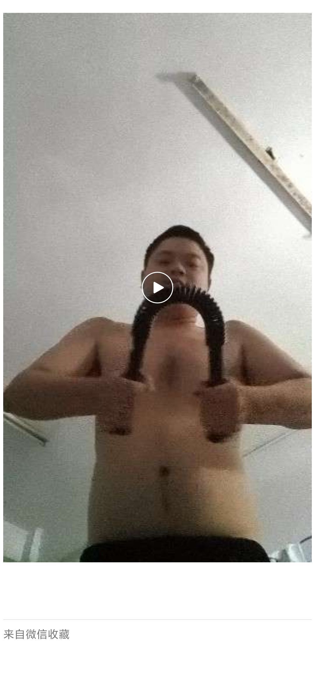 熊dw的图片