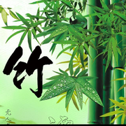 竹，，雨海报
