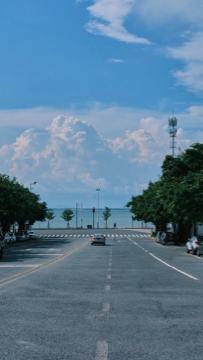 陪你看夏天海报