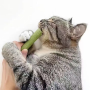 查理，查理！的头像