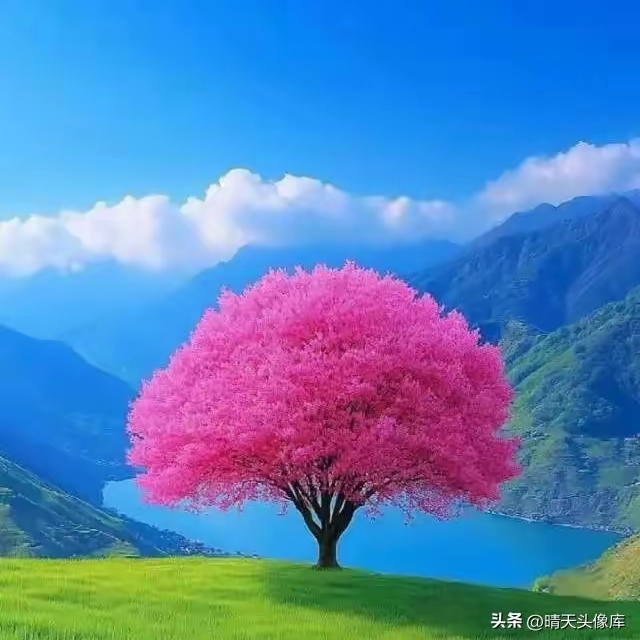 路过乞丐版型海报