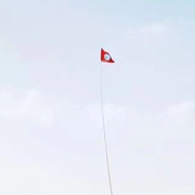 Manpol海报
