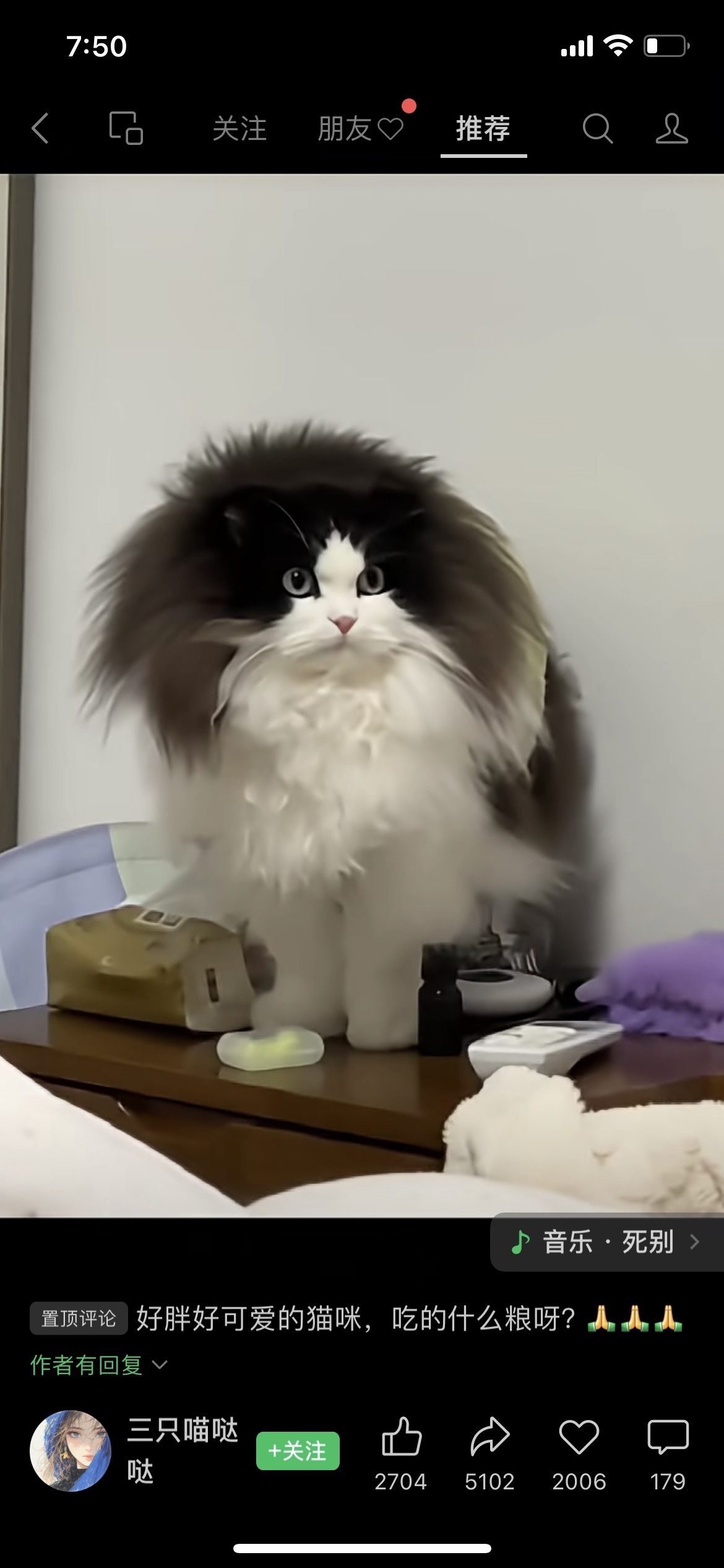 新人小喵🐱的图片