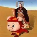北极熊tt