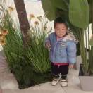 郑传兵1596911