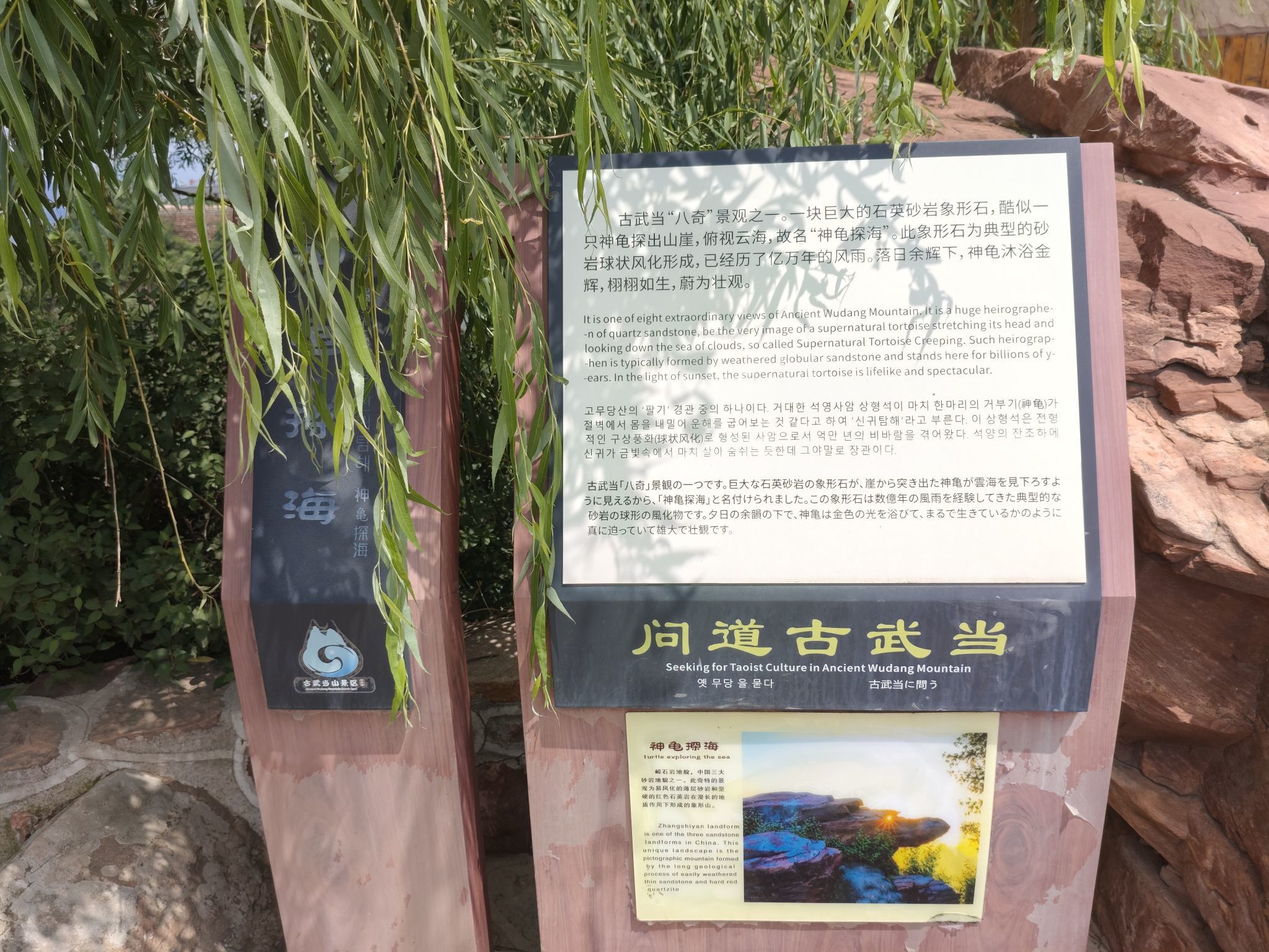 厄洛斯💗7978的图片