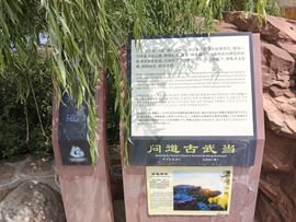 厄洛斯💗7978主播照片