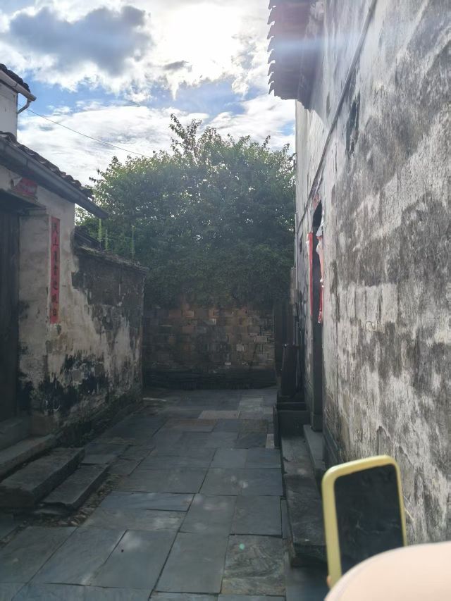 婷婷💕感恩有你陪伴的图片