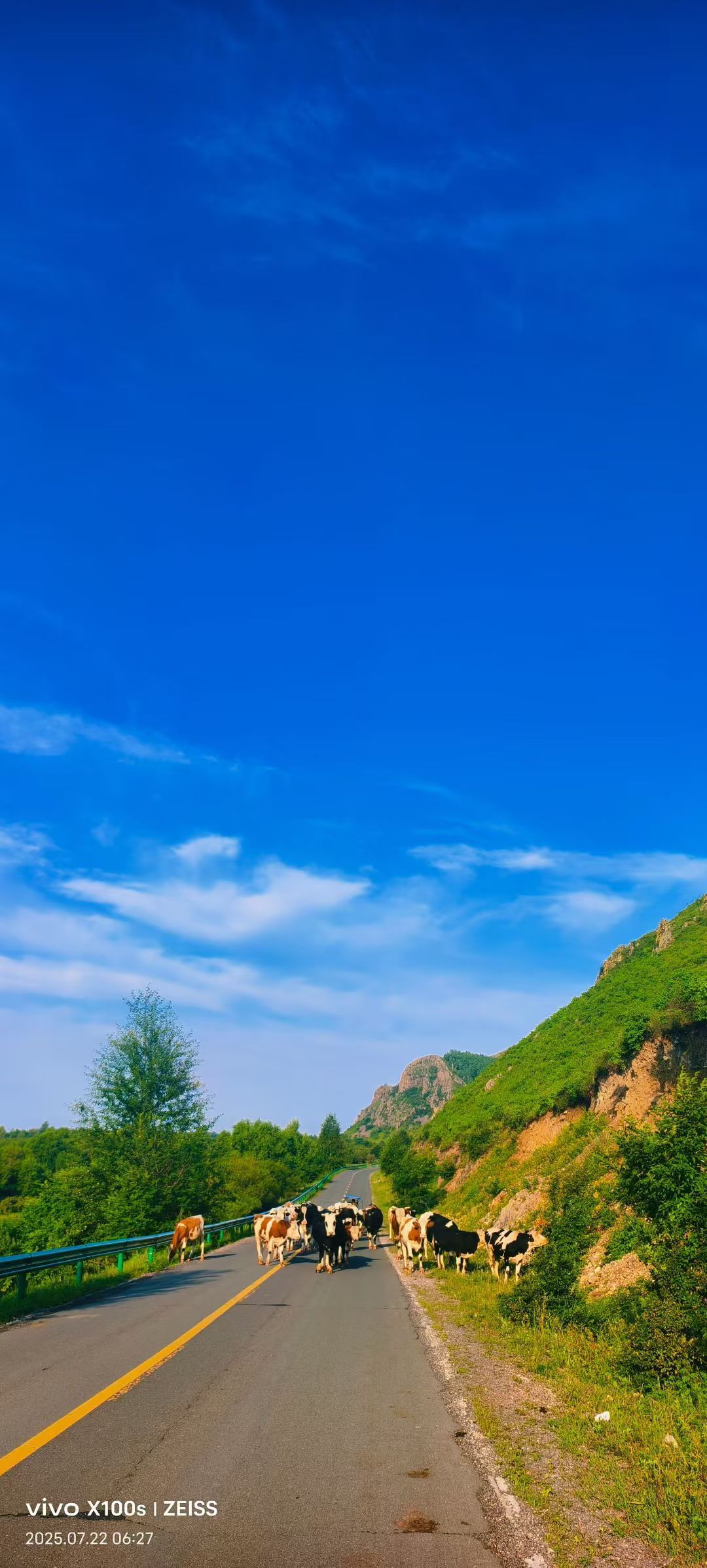 妞妞骑行宁夏银川的图片