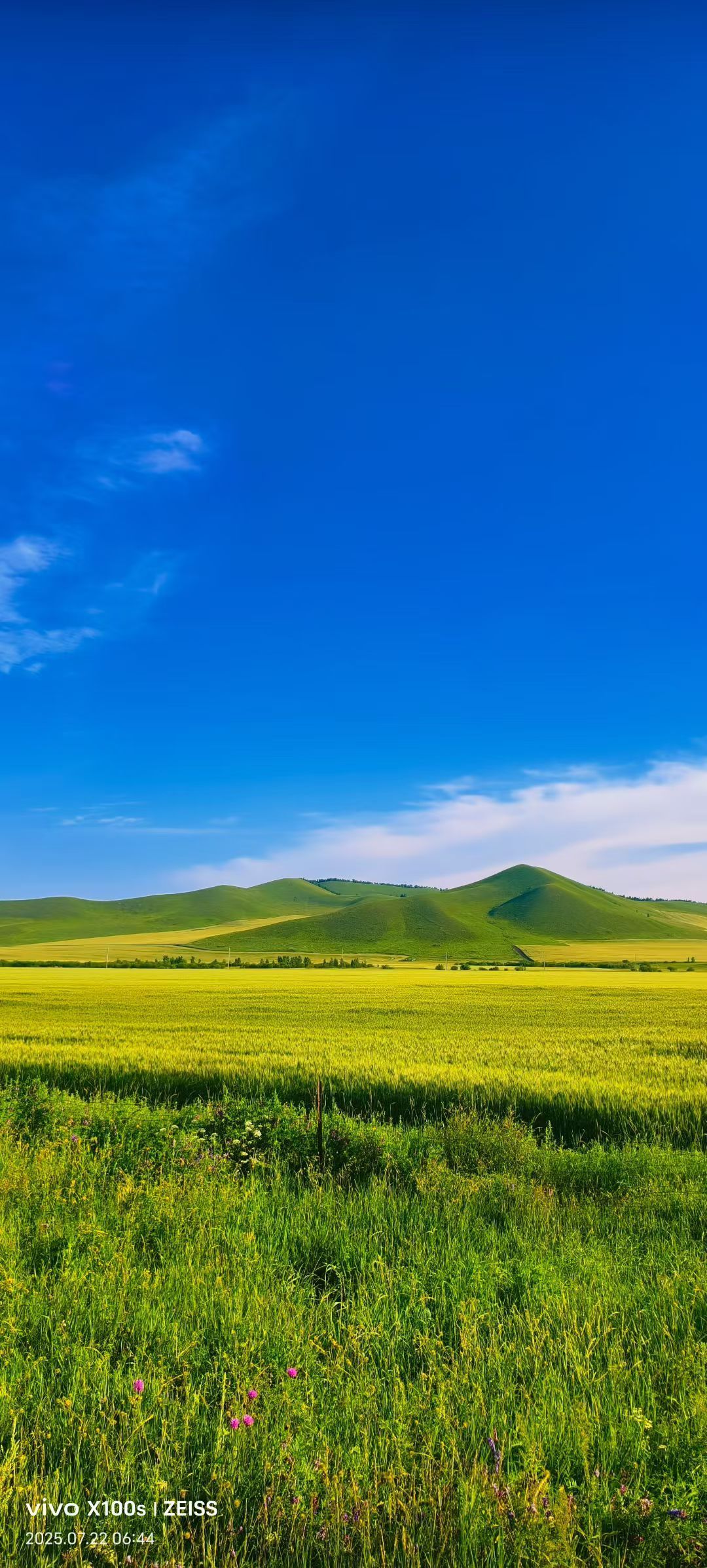 妞妞骑行宁夏银川的图片