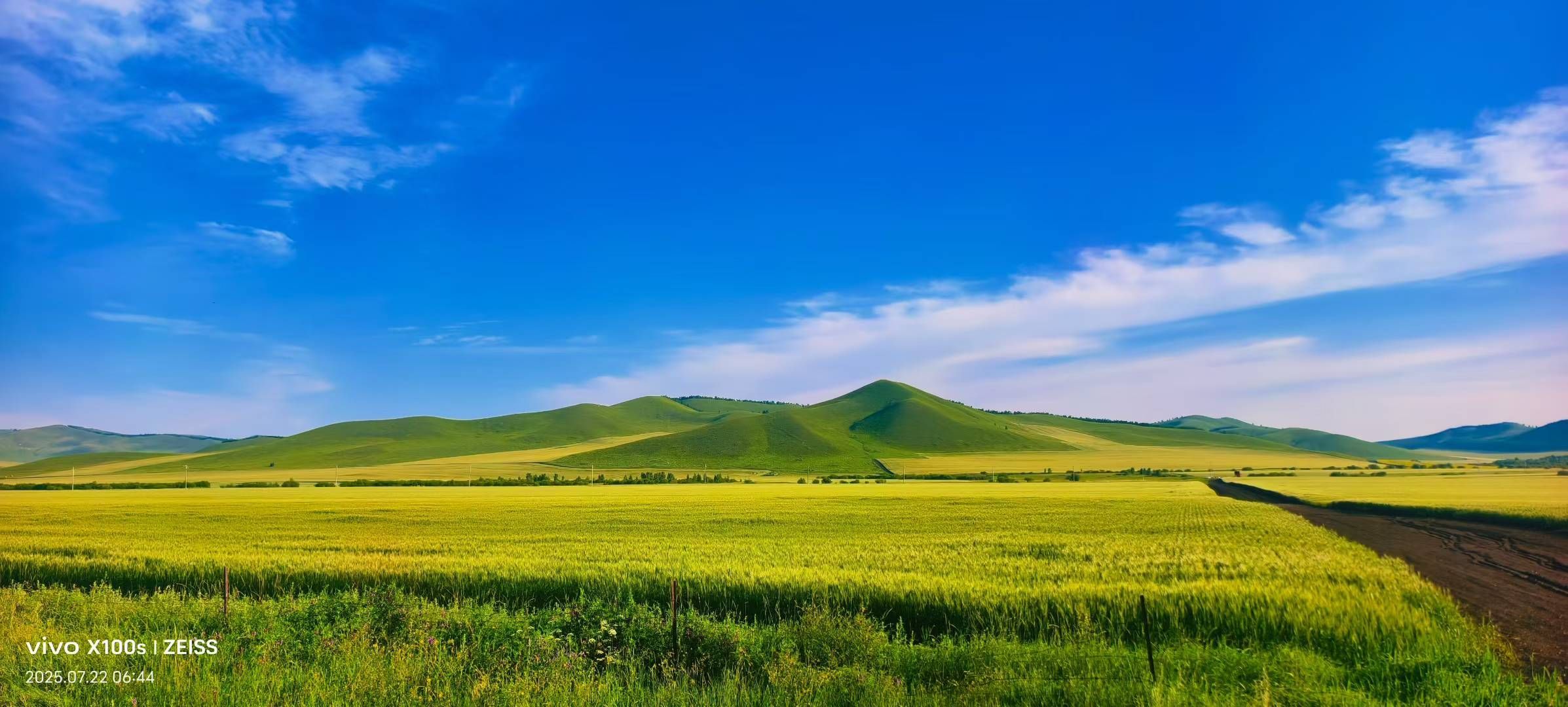 妞妞骑行宁夏银川的图片