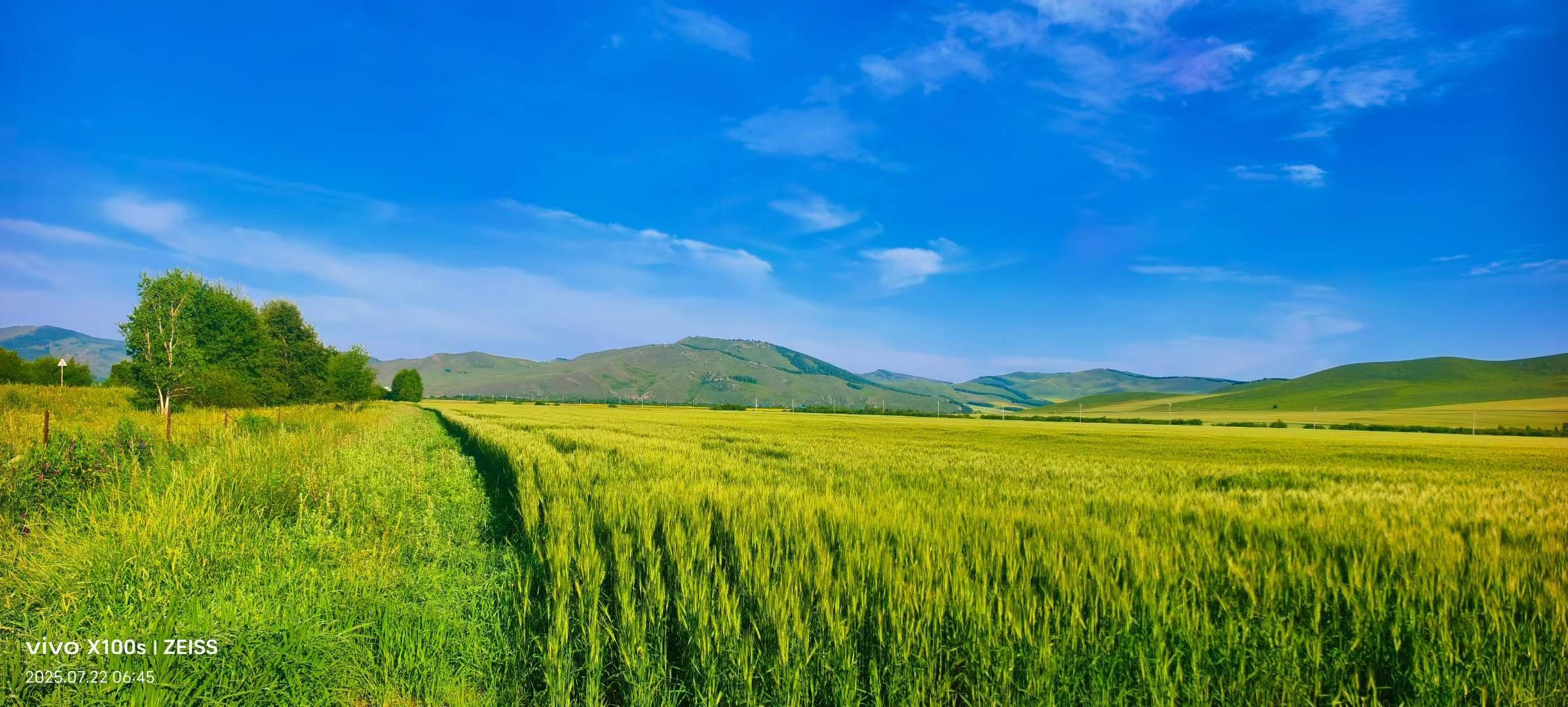 妞妞骑行宁夏银川的图片