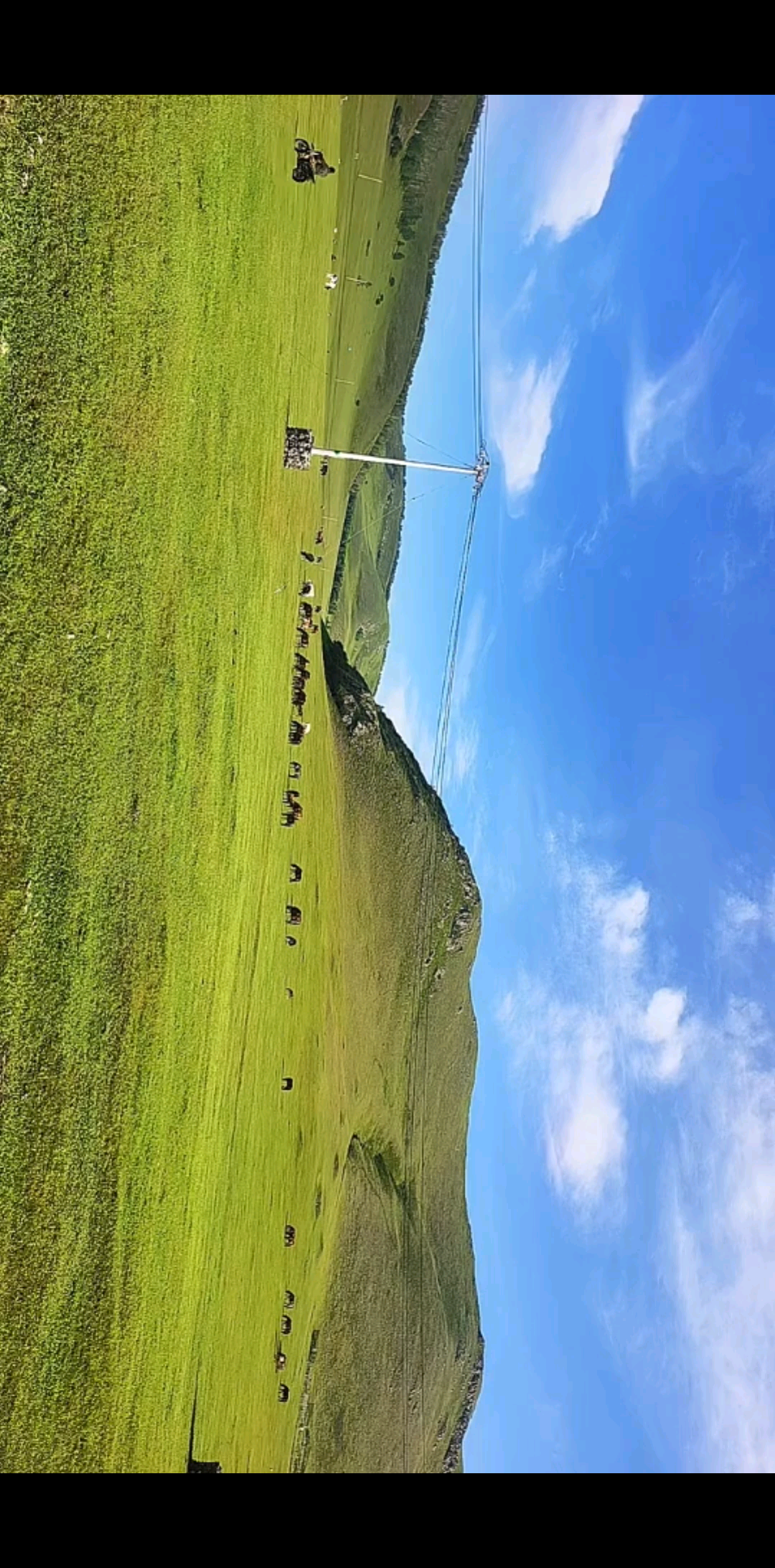 /狂哭/狂哭/狂哭/