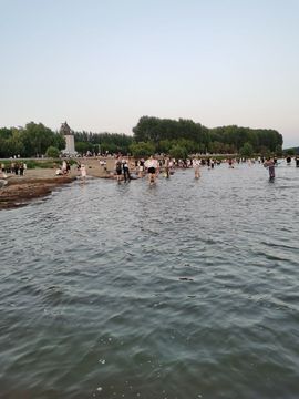 天王盖地虎虎044的图片