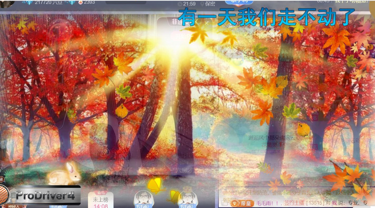 单身歌手🎤求守护主播图片