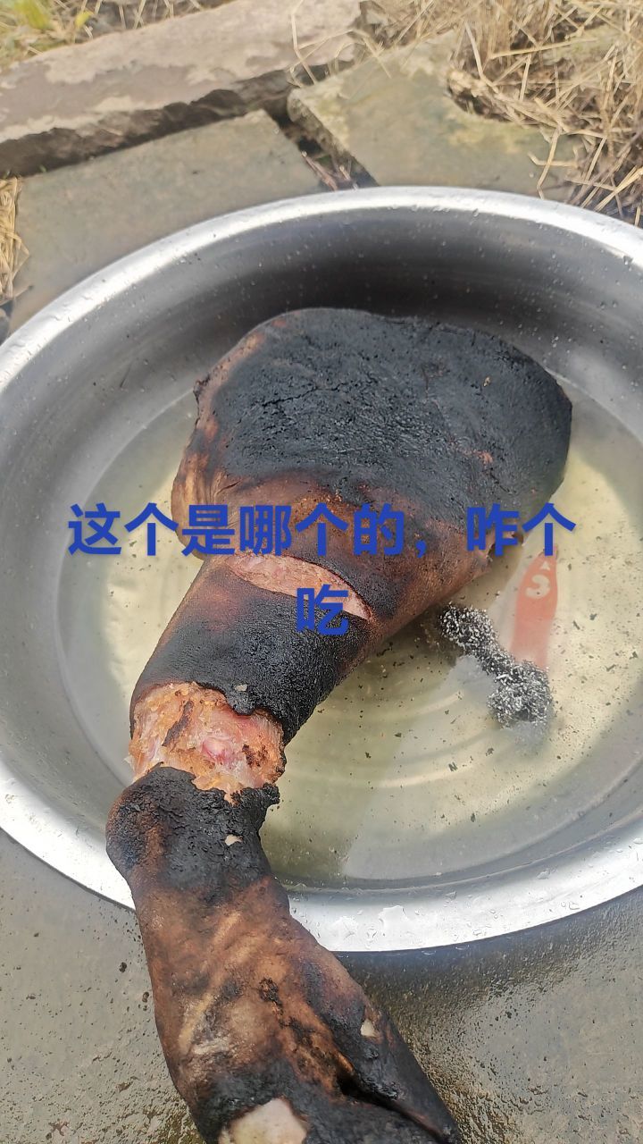 海燕单身的图片