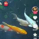 处事多思