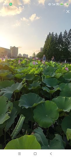 婷婷💕感恩有你陪伴主播照片