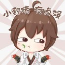 猪的减肥梦