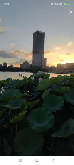 婷婷💕感恩有你陪伴主播照片