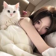 新人猪猪第一天💤头像