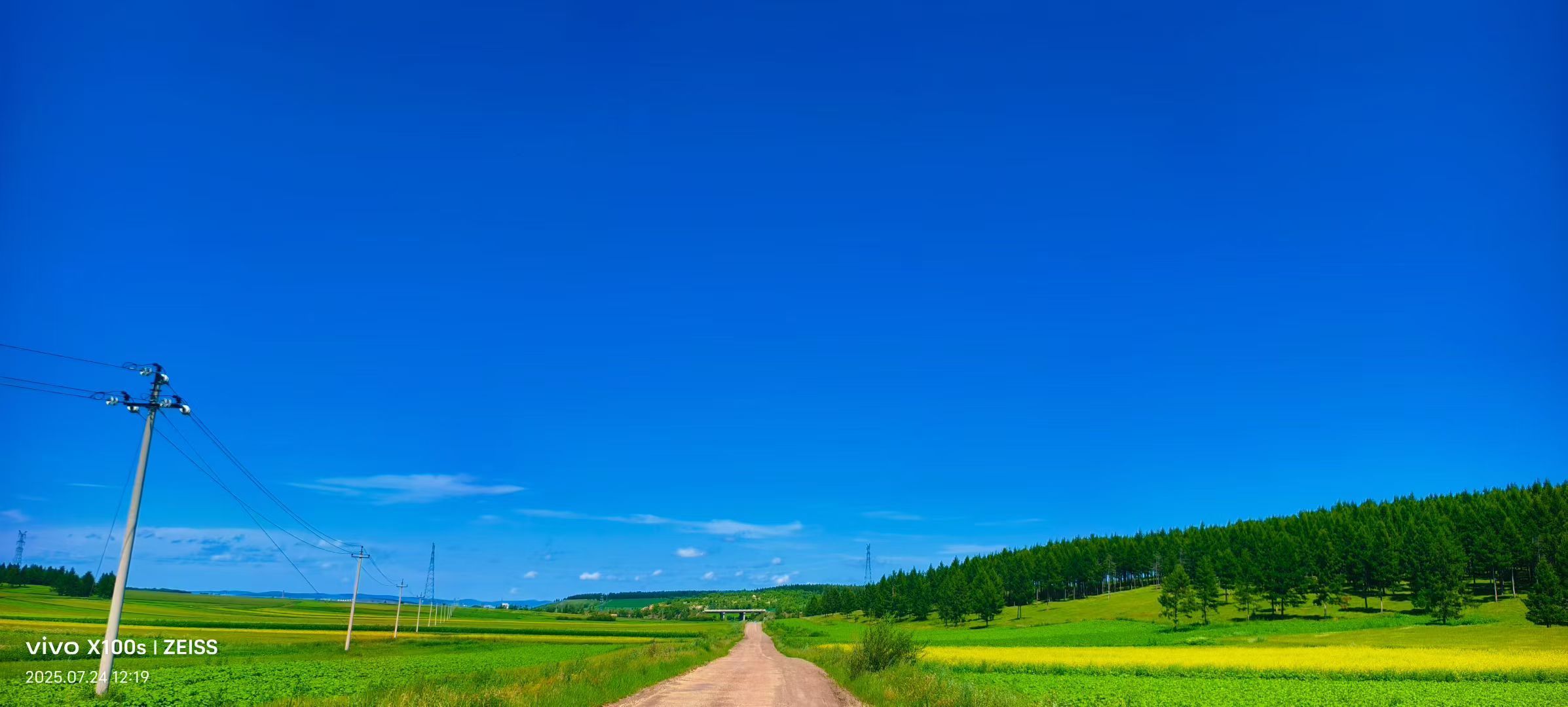 妞妞骑行宁夏银川的图片
