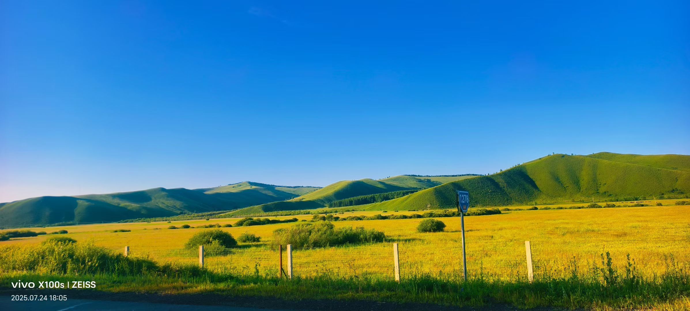 妞妞骑行宁夏银川的图片