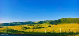妞妞骑行宁夏银川主播照片