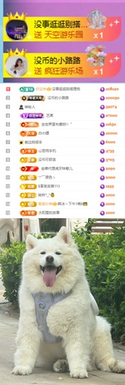陈慧慧🥕早10晚8主播照片