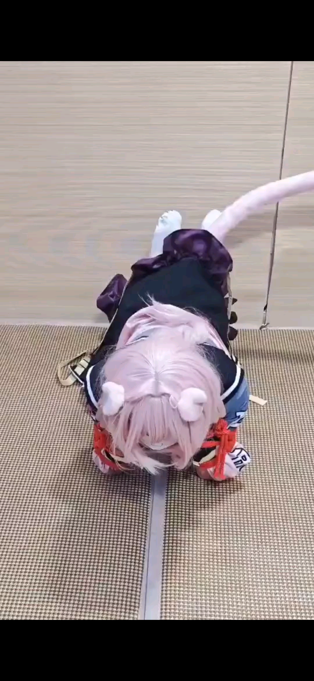 可爱小狗！
