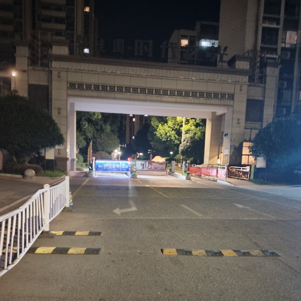 潮囯华海报