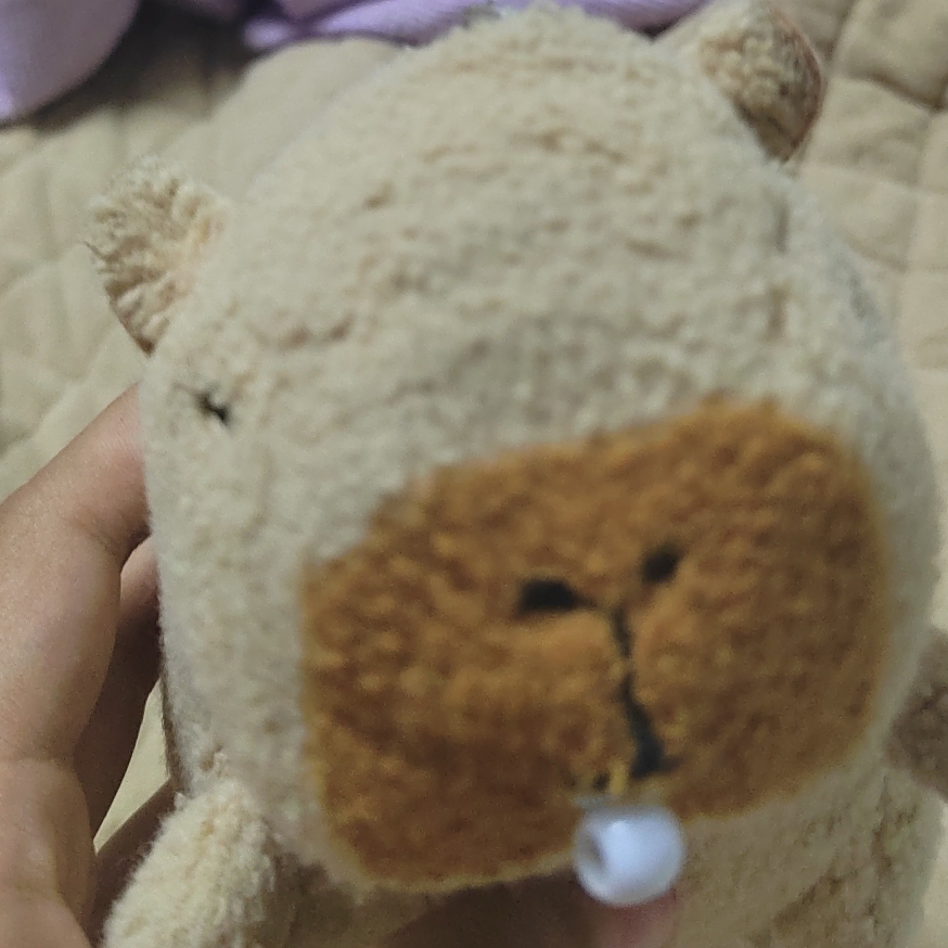 ❧喜欢的诸儿海报