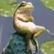 🐸蹭歌机器人🎵