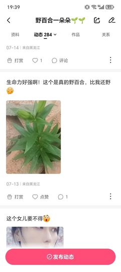 野百合一朵朵🌱🌱主播照片