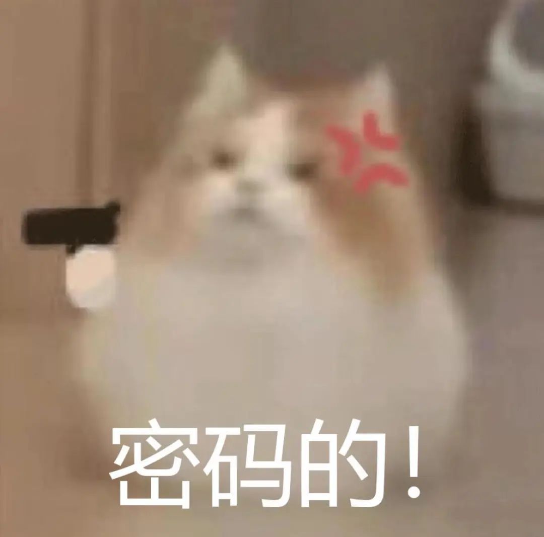 手捏Csi汽水🥤主播图片