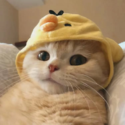 ╰⊱⋋冷⋌⊰╯