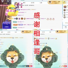金麒麟好运连连🎤主播照片