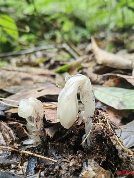 闰六月星空有约主播照片
