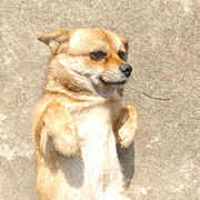 销冠。头像