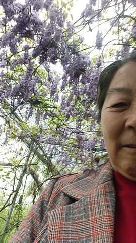 【陈姐】能芬主播照片