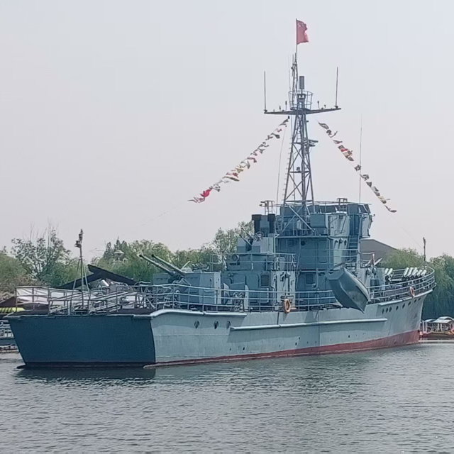 凤起九天海报