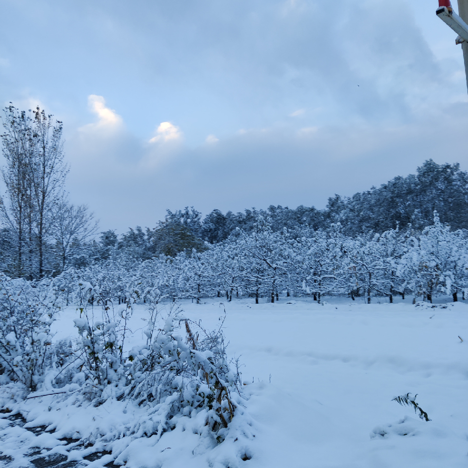 长街怎敌千堆雪海报