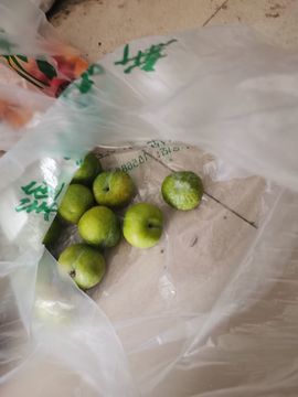 天王盖地虎044主播照片