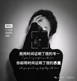 送朵花插坟头上主播照片