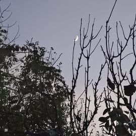 六六贼温柔的图片
