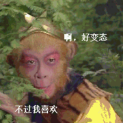 江湖人称雕哥