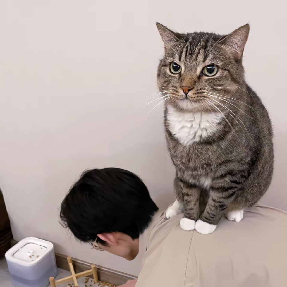江湖人称雕哥海报