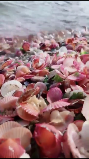 菠萝🍍哥海报